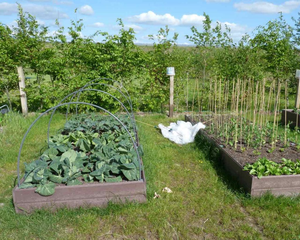 Raised Beds Murray's Recycled Plastic